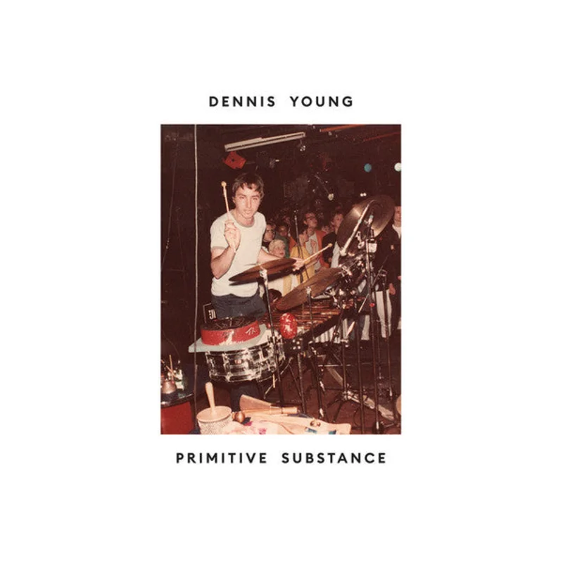 Dennis Young - Primitive Substance (LP, Comp) (Mint (M))