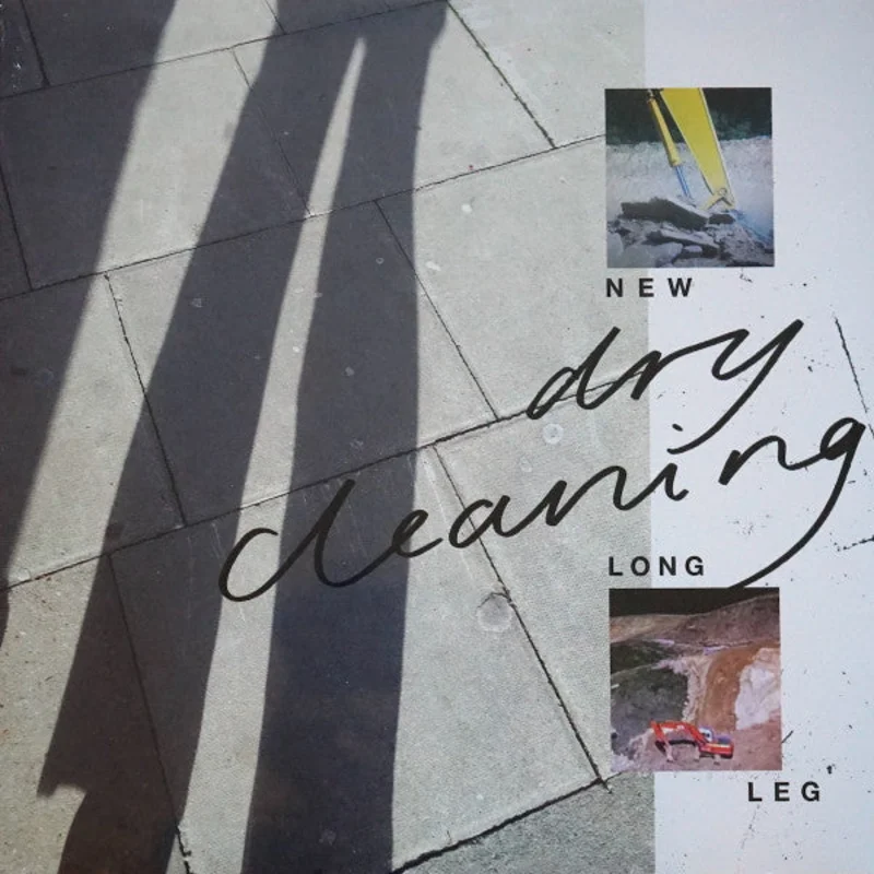 Dry Cleaning - New Long Leg (LP, Album) (Mint (M))