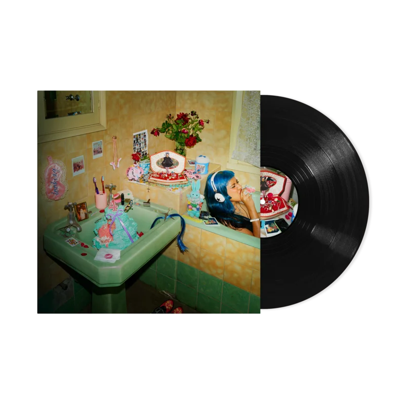 ECCA VANDAL LOOKING FOR PEOPLE TO UNFOLLOW LP (Black Vinyl)