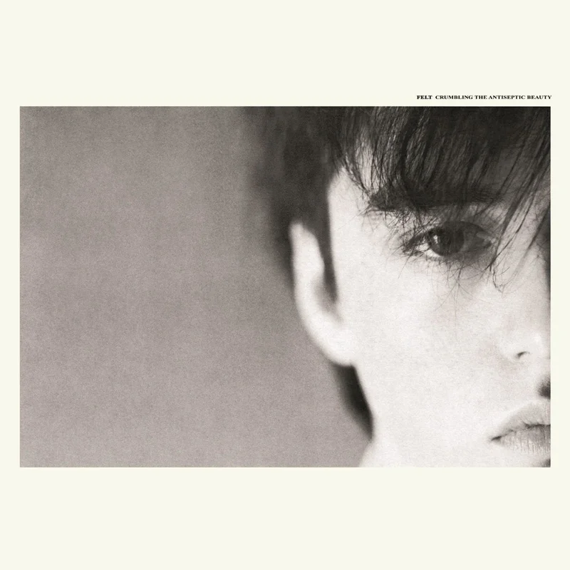 Felt - Crumbling The Antiseptic Beauty