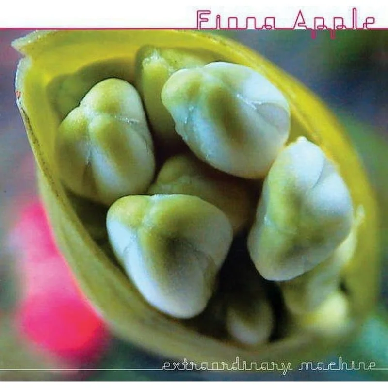 Fiona Apple - Extraordinary Machine