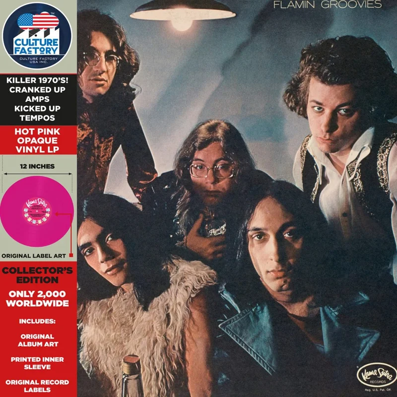 Flamin Groovies - Flamingo