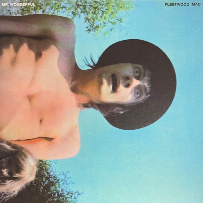 Fleetwood Mac - Mr. Wonderful