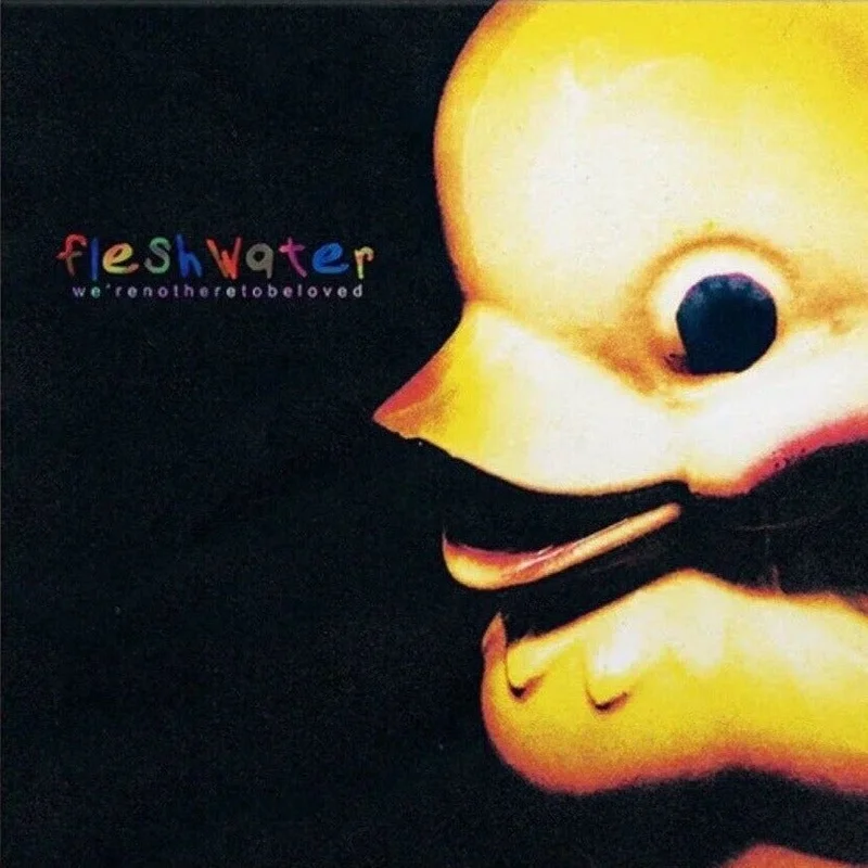 Fleshwater - Were Not Here To Be Loved