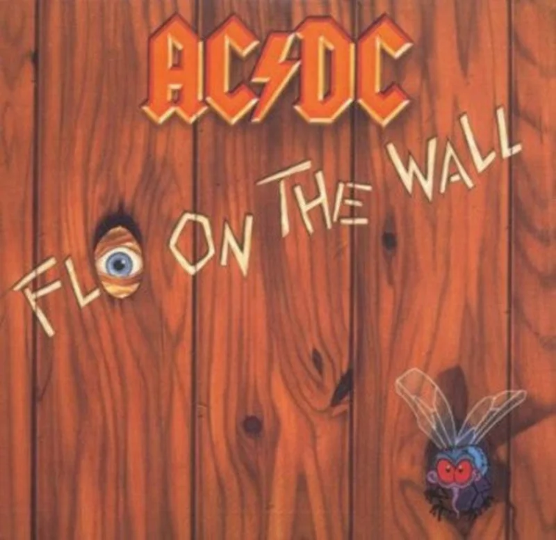 Fly on the Wall