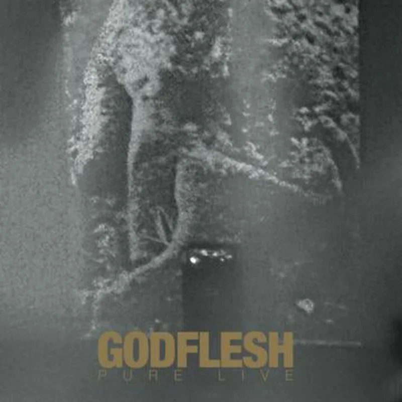 GODFLESH 'PURE LIVE' 2LP