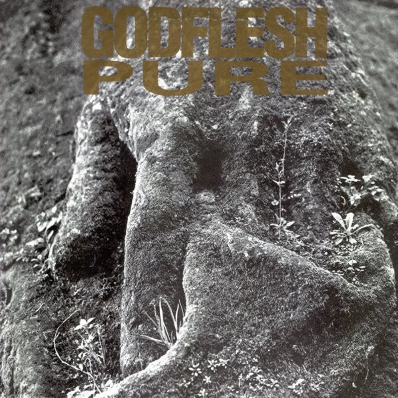 Godflesh - Pure