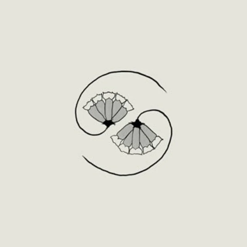 GODSPEED YOU! BLACK EMPEROR 'G_D'S PEE AT STATE'S END!' LP + 10" EP