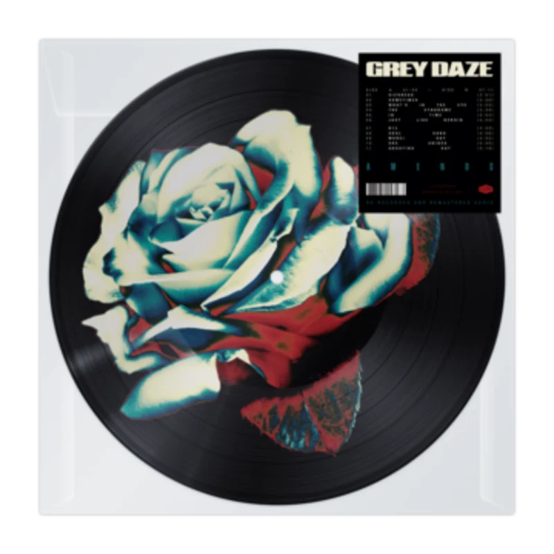 GREY DAZE 'AMENDS' PICTURE DISC #2 LP