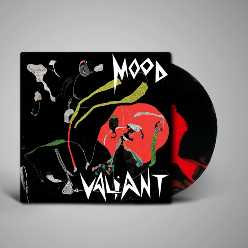 Hiatus Kaiyote -  Mood Valiant