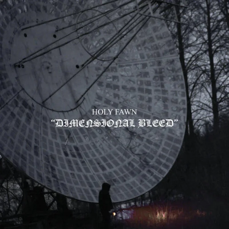 HOLY FAWN DIMENSIONAL BLEED 2LP (Coke Bottle Clear Vinyl)