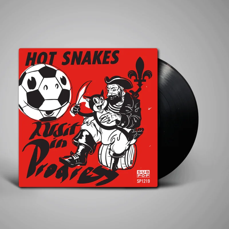 Hot Snakes - Audit in Progress