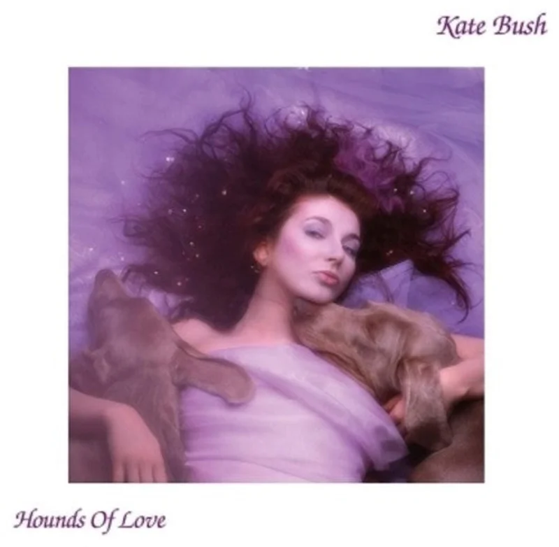 Hounds of Love
