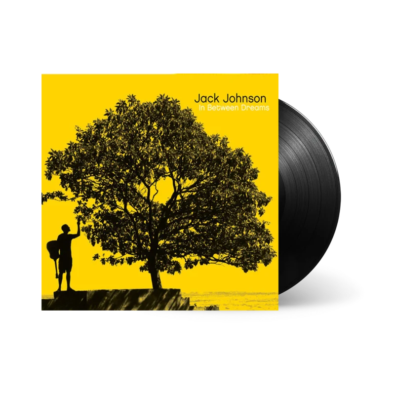 In Between Dreams LP