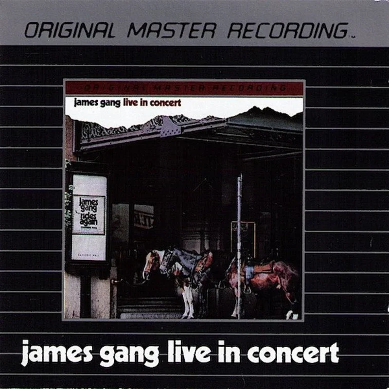 James Gang - Live In Concert