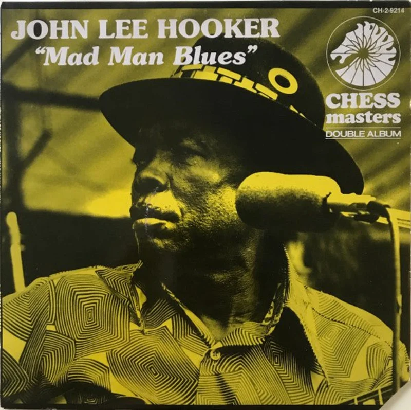 John Lee Hooker - Mad Man Blues