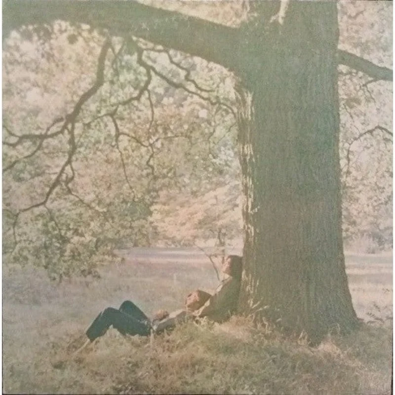 John Lennon & Plastic Ono Band* - John Lennon / The Plastic Ono Band