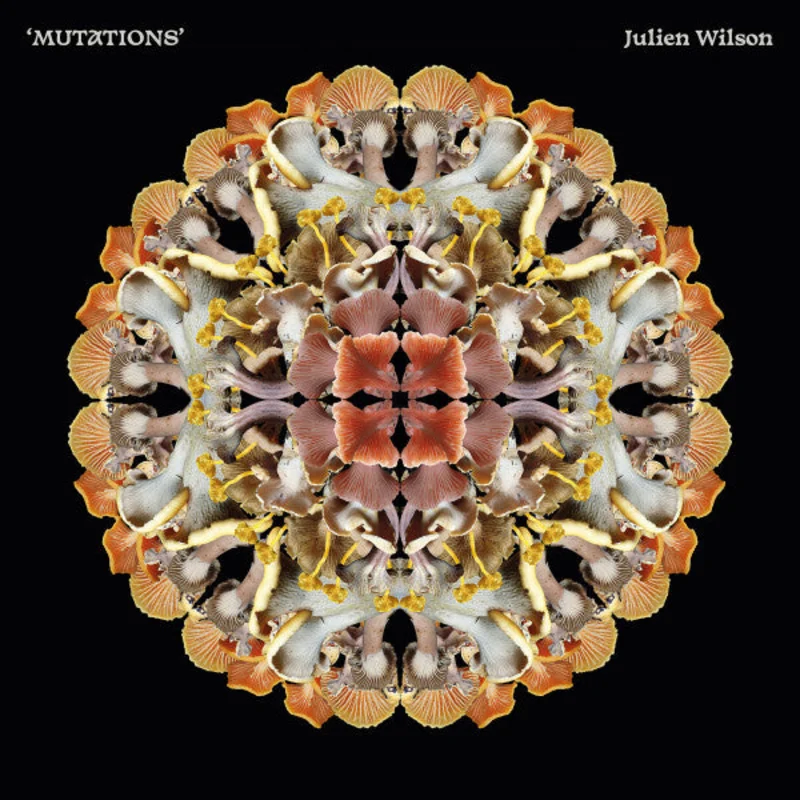 Julien Wilson - Mutations (LP, Album) (Mint (M))