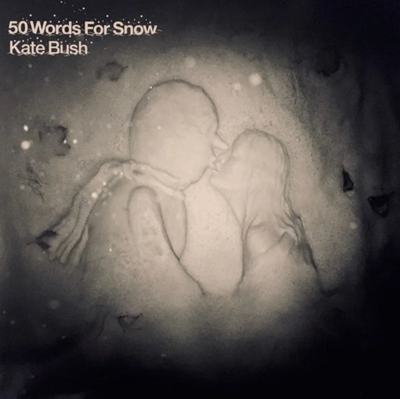 Kate Bush - 50 Words For Snow (2xLP, Album, RE, RM, 180) (Near Mint (NM or M-))