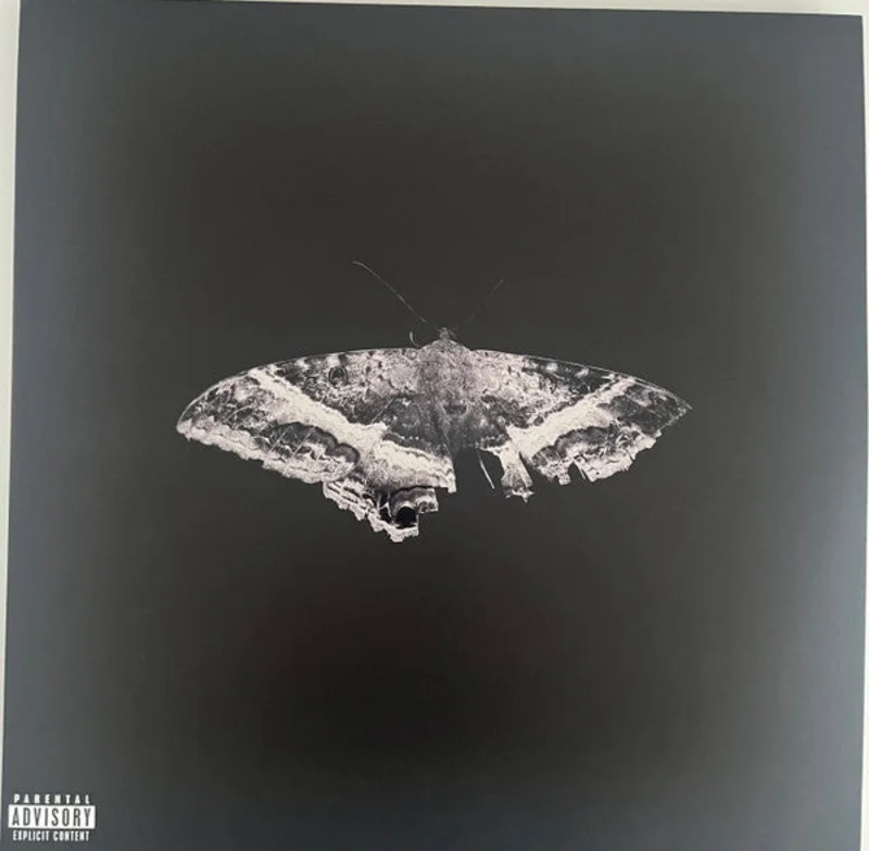 Kendrick Lamar - To Pimp A Butterfly (2xLP, Album, RE, 10t) (Mint (M))