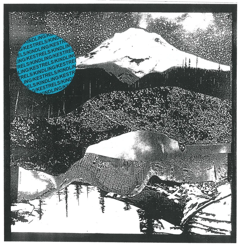 Kindling / Kestrels - Kindlng & Kestrels