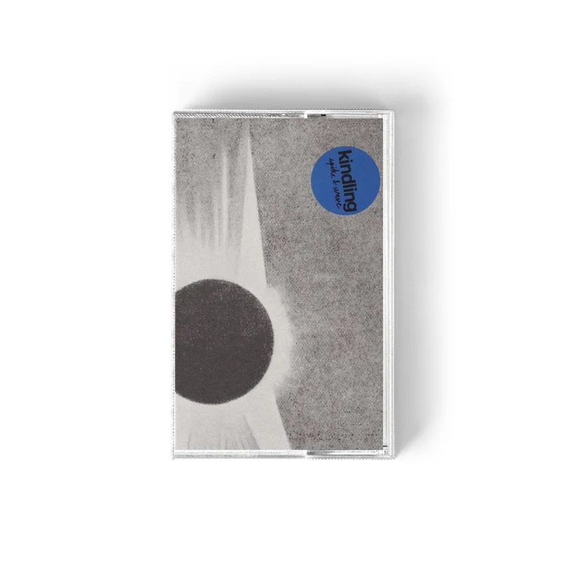 Kindling - Spike and Wave