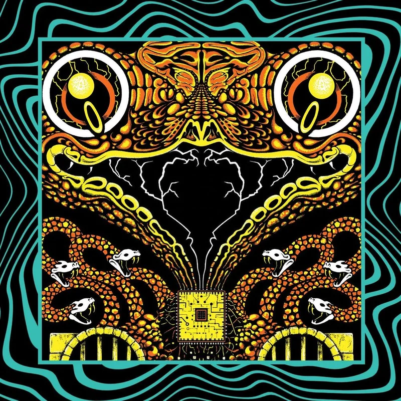 King Gizzard And The Lizard Wizard - Acoustic Gizzard Vol. II - Live in San Diego '24