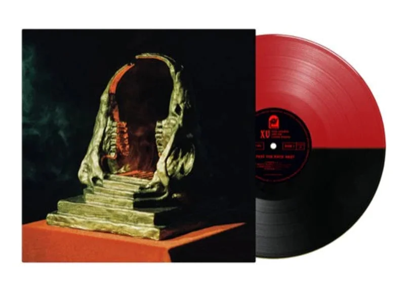 KING GIZZARD & THE LIZARD WIZARD 'INFEST THE RATS' NEST' LP (Red & Black Vinyl)