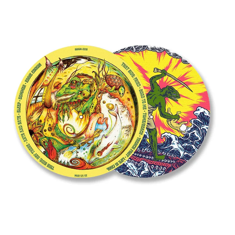 KING GIZZARD & THE LIZARD WIZARD 'TEENAGE GIZZARD' LP (Picture Disc Vinyl)