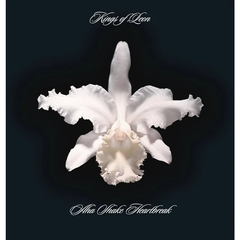 Kings Of Leon - Aha Shake Heartbreak