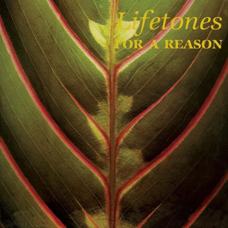 Lifetones - For A Reason