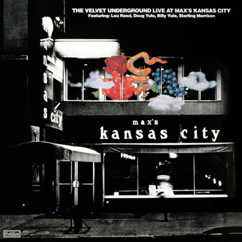 Live At Max's Kansas City: Expanded Version (Colored Vinyl, Brick & Mortar Exclusive, Remastered)