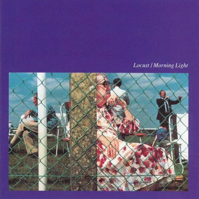 Locust - Morning Light