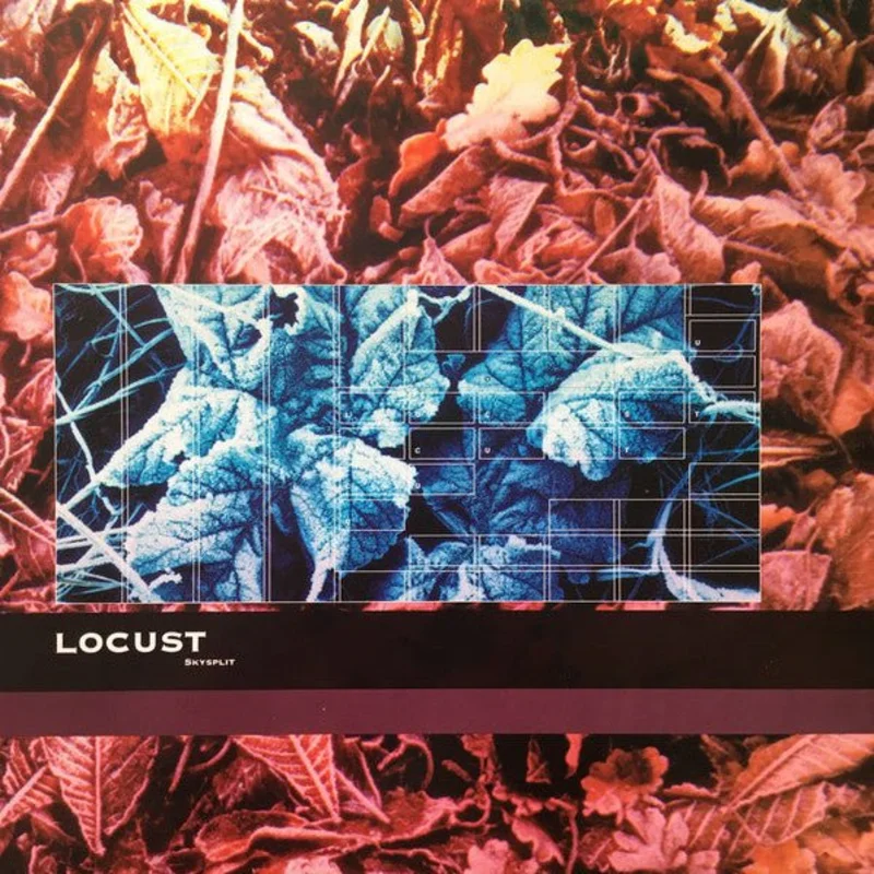 Locust - Skysplit