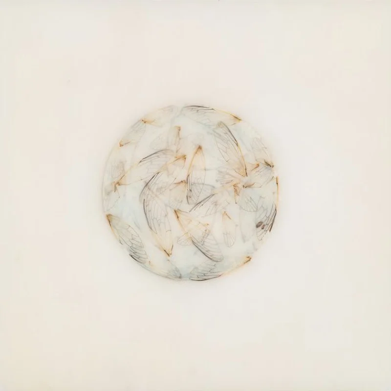 Lotte Kestner - Off White