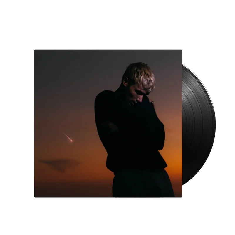 LOVE IS NOT DYING LP
