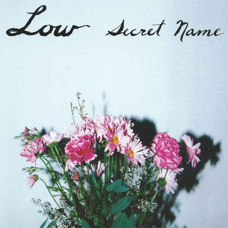 LOW 'SECRET NAME' LP