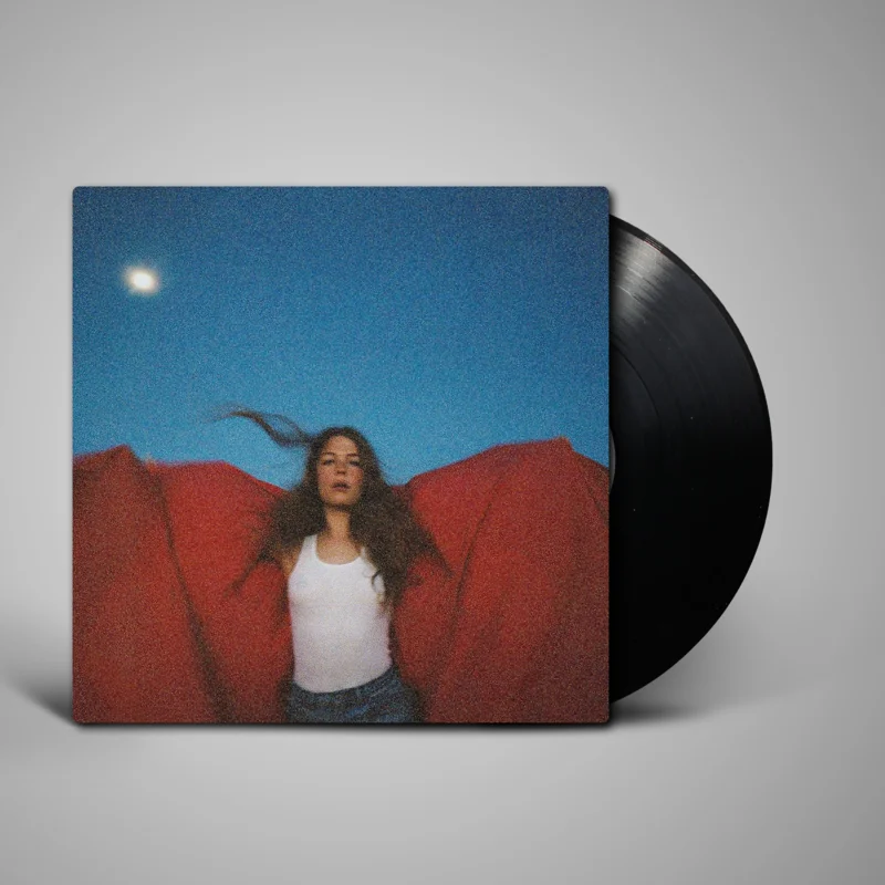 Maggie Rogers - Heard It In A Past Life
