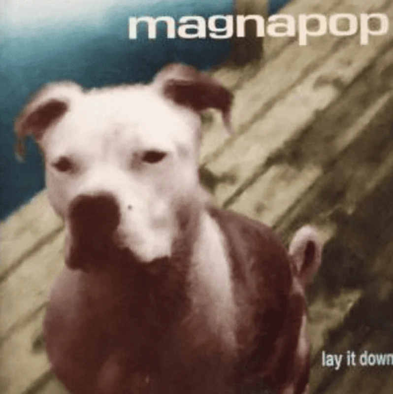 Magnapop - Lay It Down