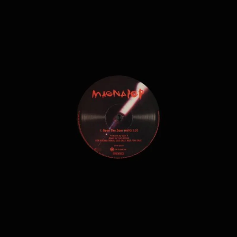 Magnapop - Open The Door