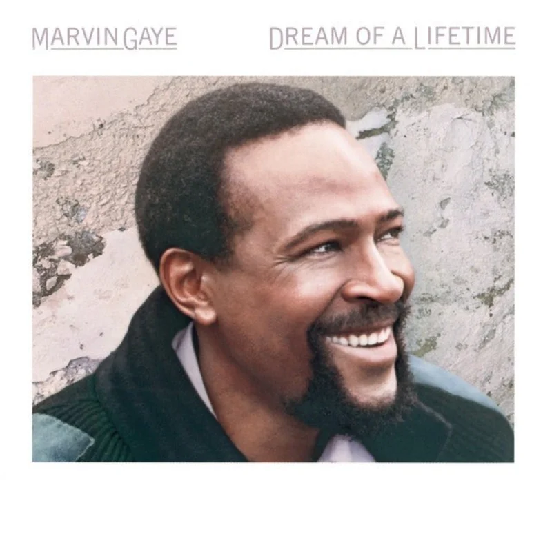 Marvin Gaye - Dream Of A Lifetime