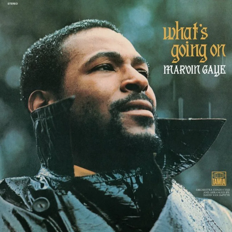 Marvin Gaye - What's Going On (Target Exclusive)