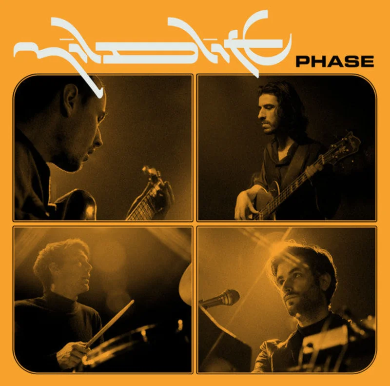 Mildlife - Phase (LP, Album) (Near Mint (NM or M-))