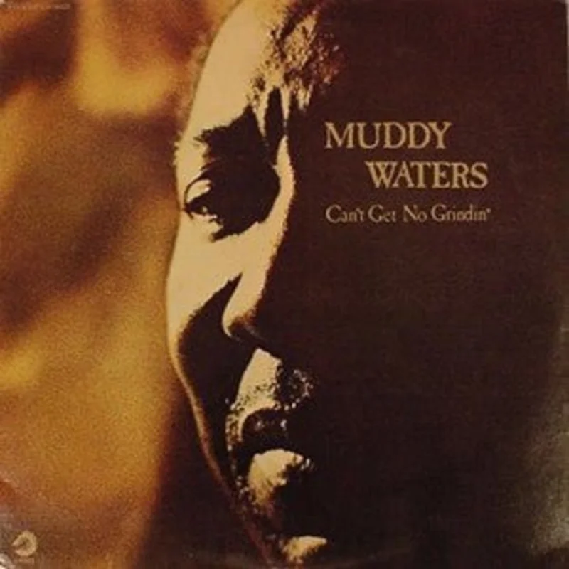 Muddy Waters - Can't Get No Grindin'