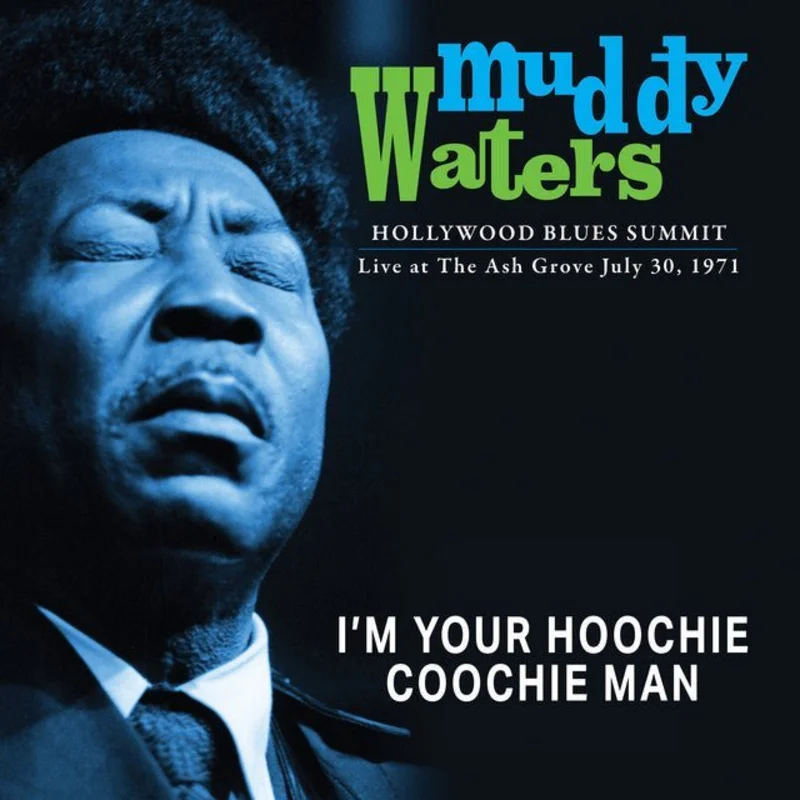 Muddy Waters - Hollywood Blues Summit 1971