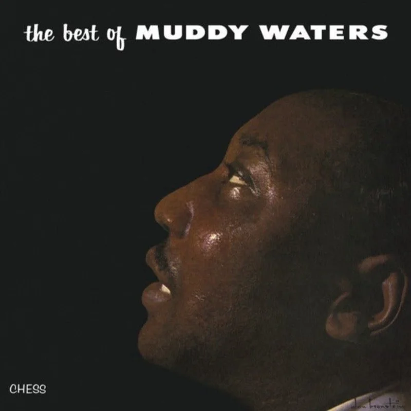 Muddy Waters - The Best Of Muddy Waters
