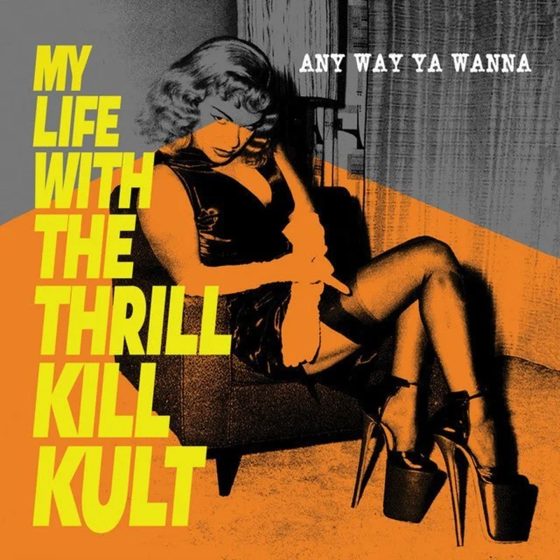 My Life With The Thrill Kill Kult - Any Way Ya Wanna