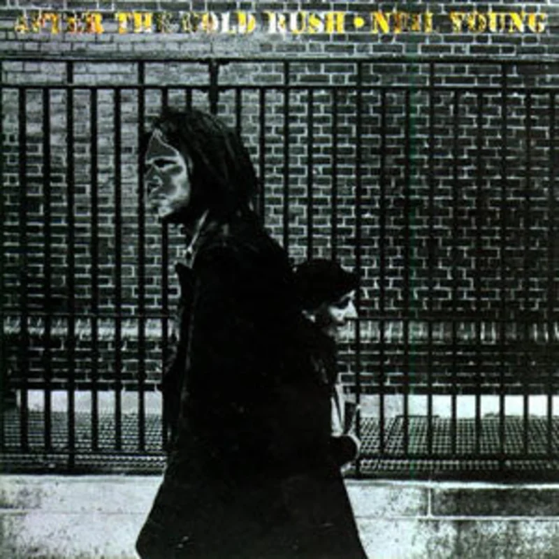 Neil Young - After The Gold Rush (LP, Album, RE) (Very Good Plus (VG+))