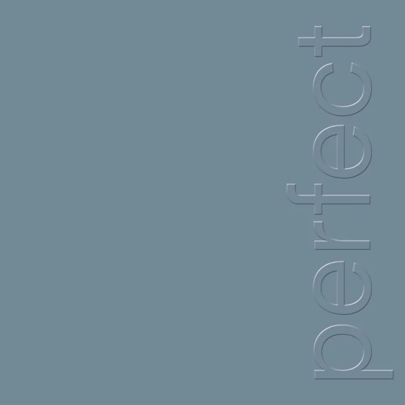 NEW ORDER 'THE PERFECT KISS' 12" SINGLE (2022 Remaster)