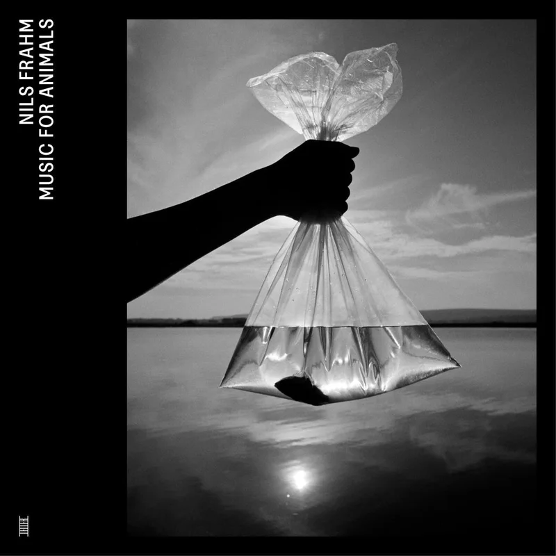 NILS FRAHM 'MUSIC FOR ANIMALS' 4LP
